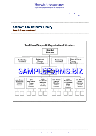 Non-Profit Organizational Chart 1