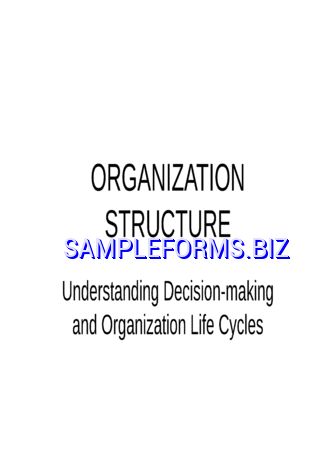 Non-Profit Organizational Chart 3 pdf ppt free